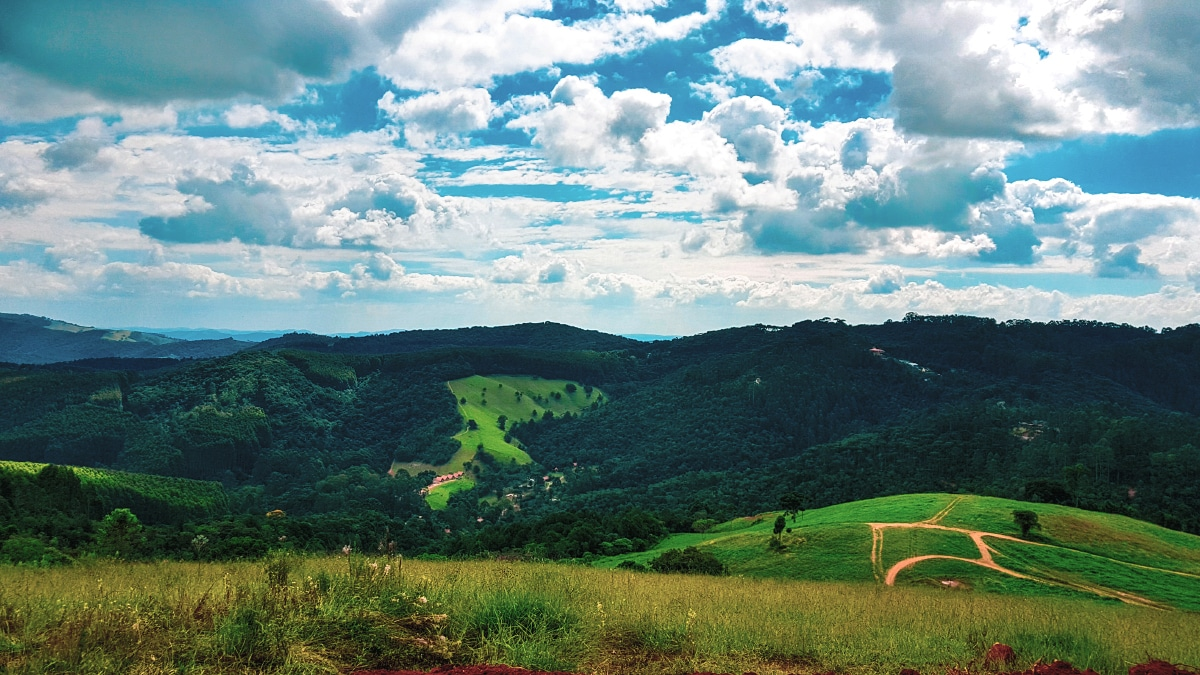 Sul de Minas coffee landscape